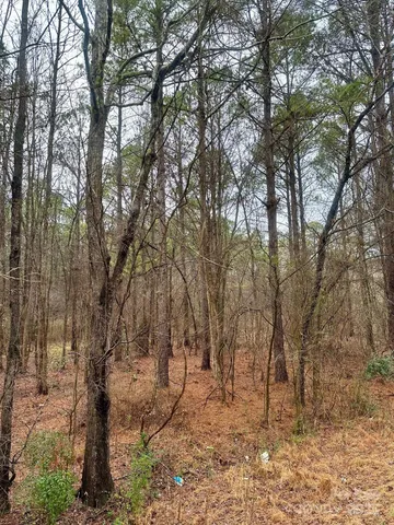 a view of a yard with large trees