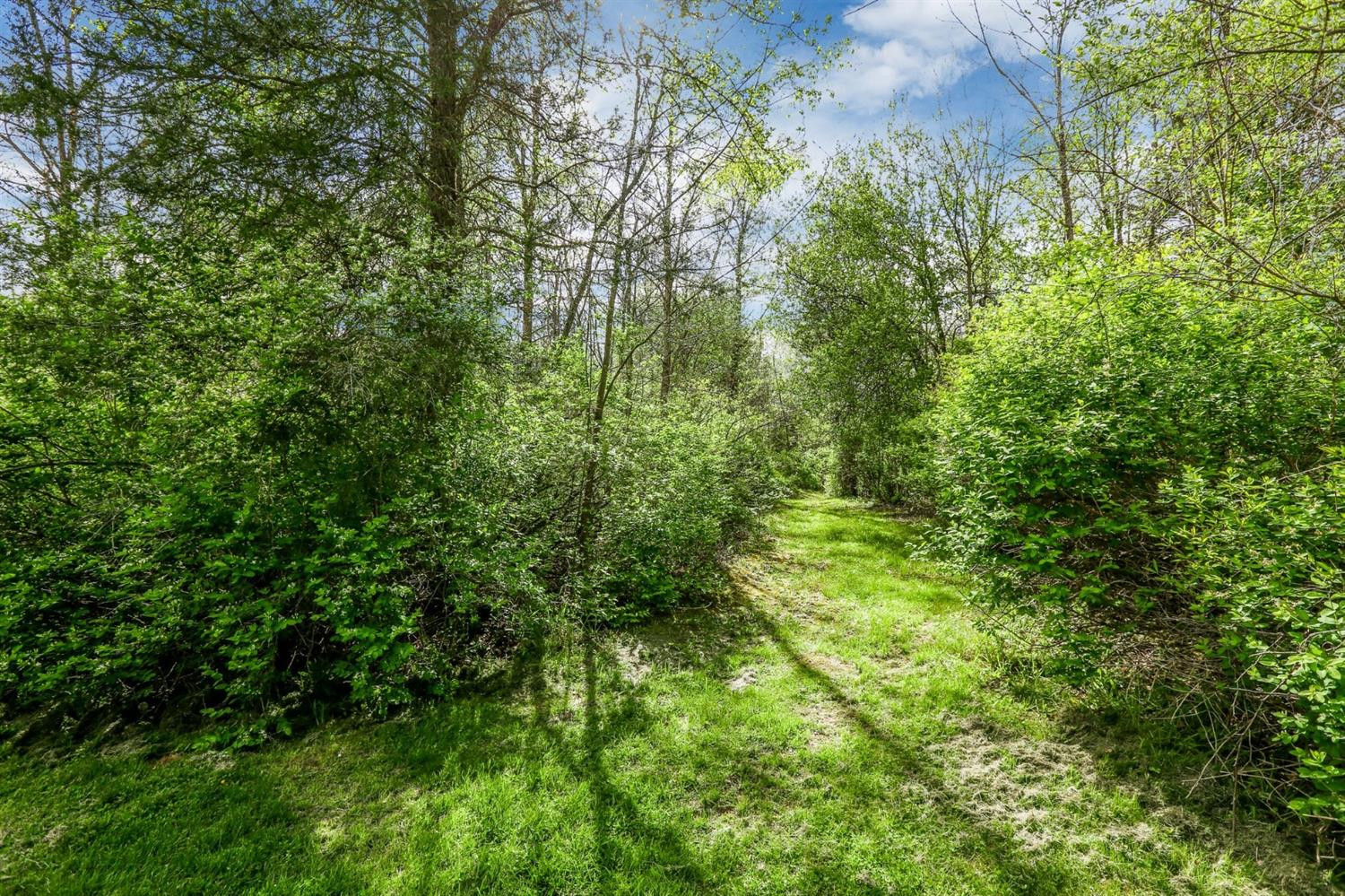 14810 Hudson Road Clinton, MI 49236 - Photo 43 of 50 Photo 43