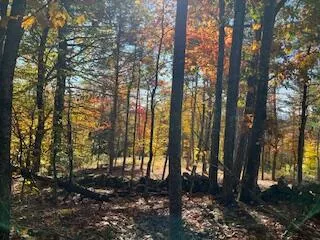 $79,000 | R10-041 Town Farm Road, Oxford, ME 04270