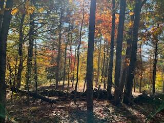 R10-041 Town Farm Road Oxford, ME 04270 - Photo 7 of 23 Town Farm 6