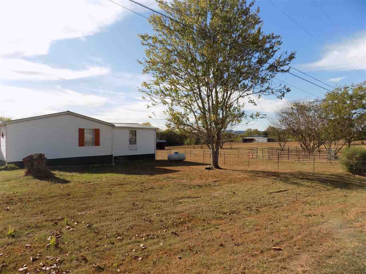 360 County Farm Road Madisonville, TN 37354 - Photo 8 of 32 a view of a yard with a tree