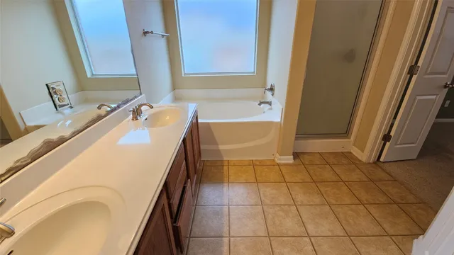 a bathroom with a tub a sink and a mirror