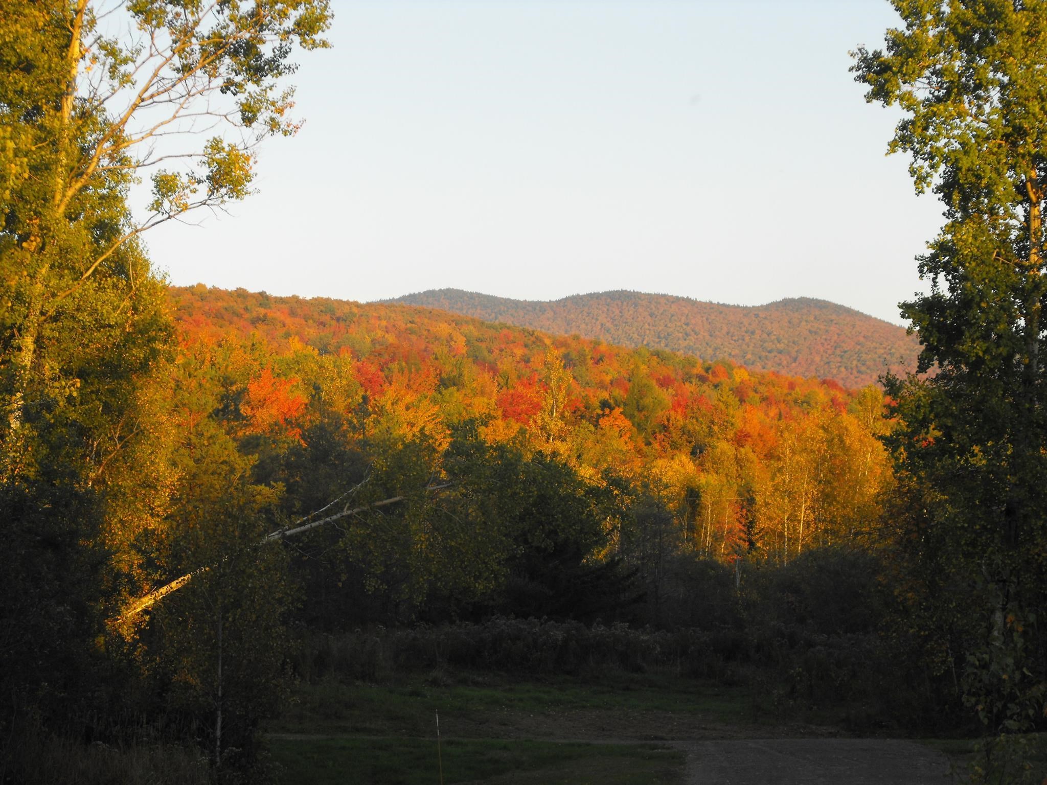 - Hannah Clark Brook Road Montgomery Center, VT 05471 - Photo 13 of 48