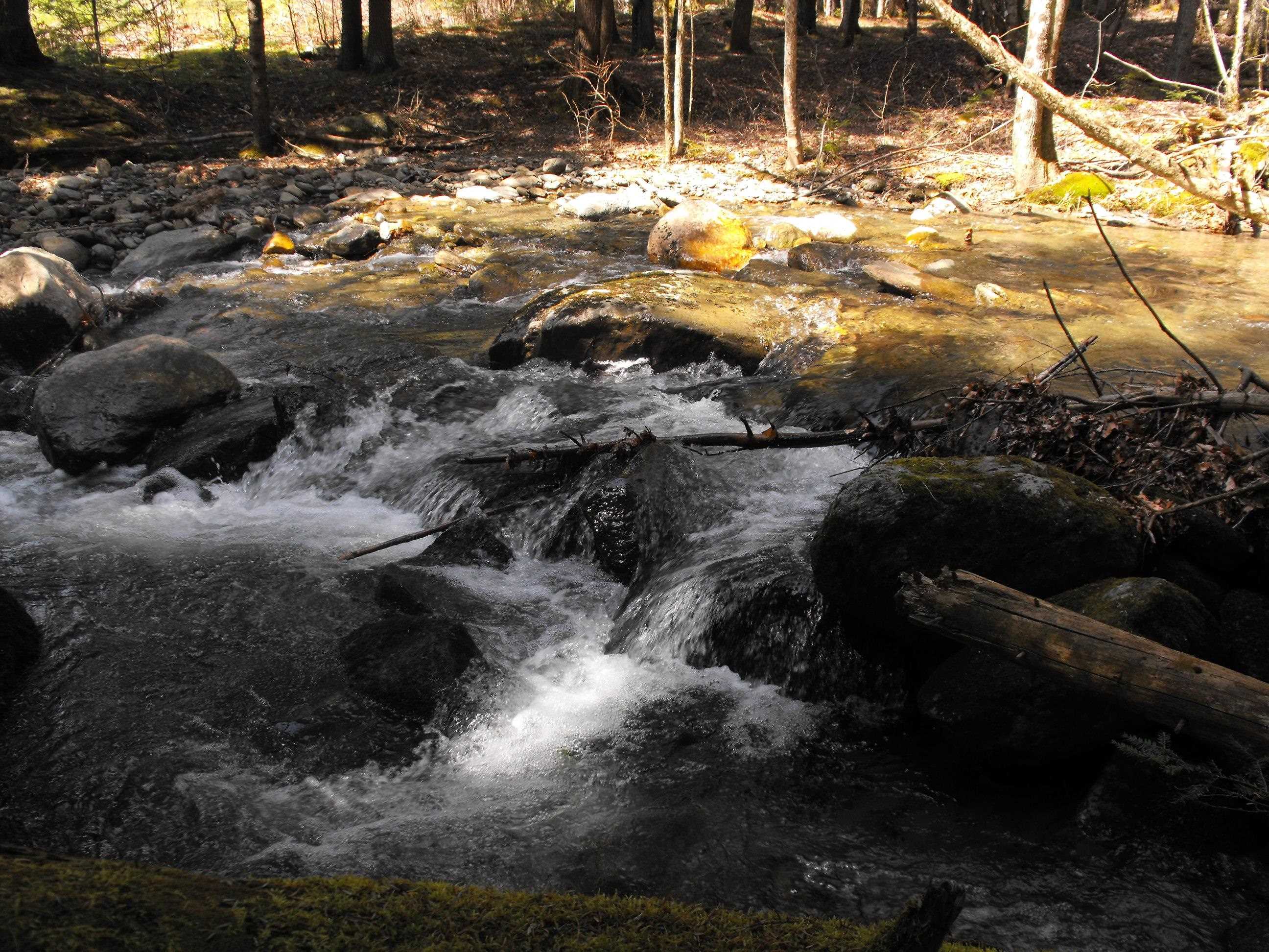 - Hannah Clark Brook Road Montgomery Center, VT 05471 - Photo 14 of 48