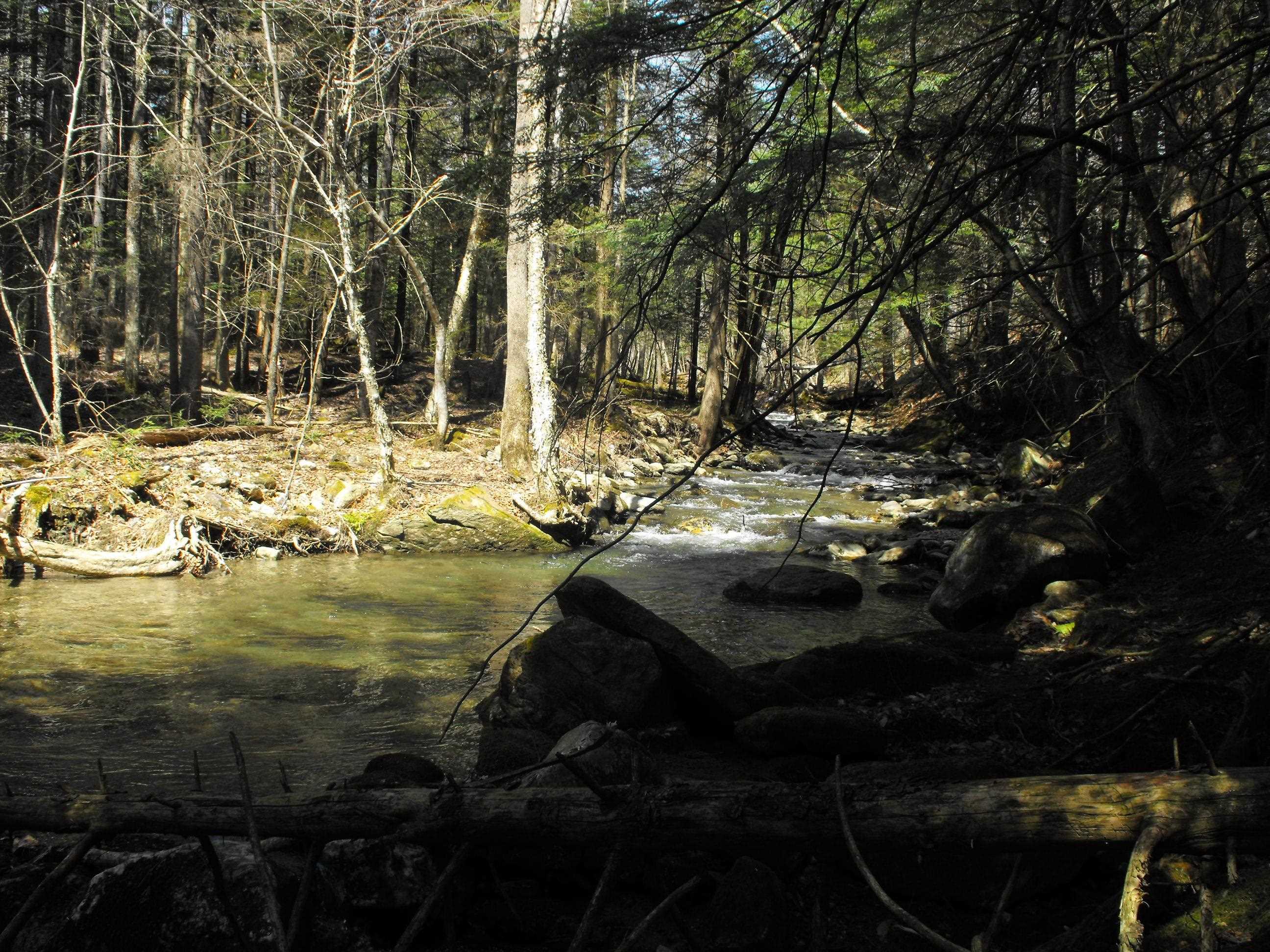 - Hannah Clark Brook Road Montgomery Center, VT 05471 - Photo 15 of 48