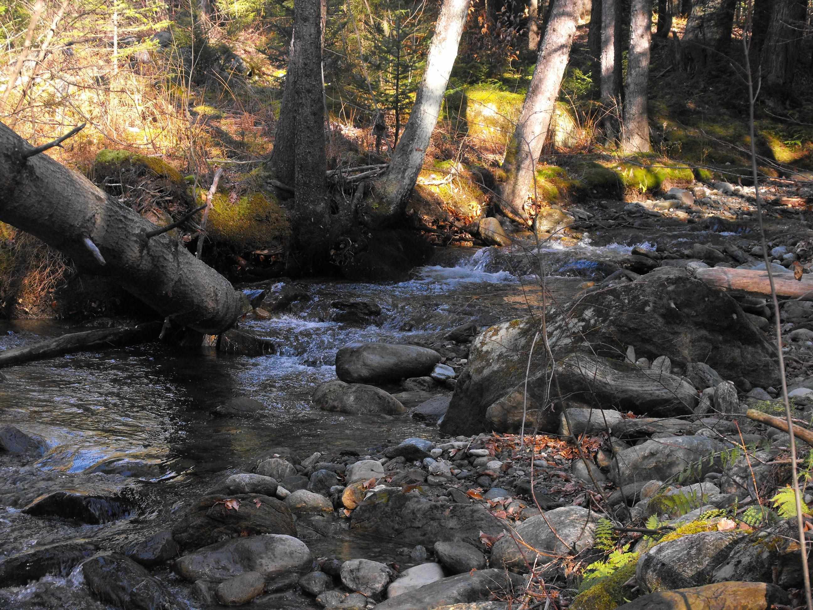 - Hannah Clark Brook Road Montgomery Center, VT 05471 - Photo 17 of 48