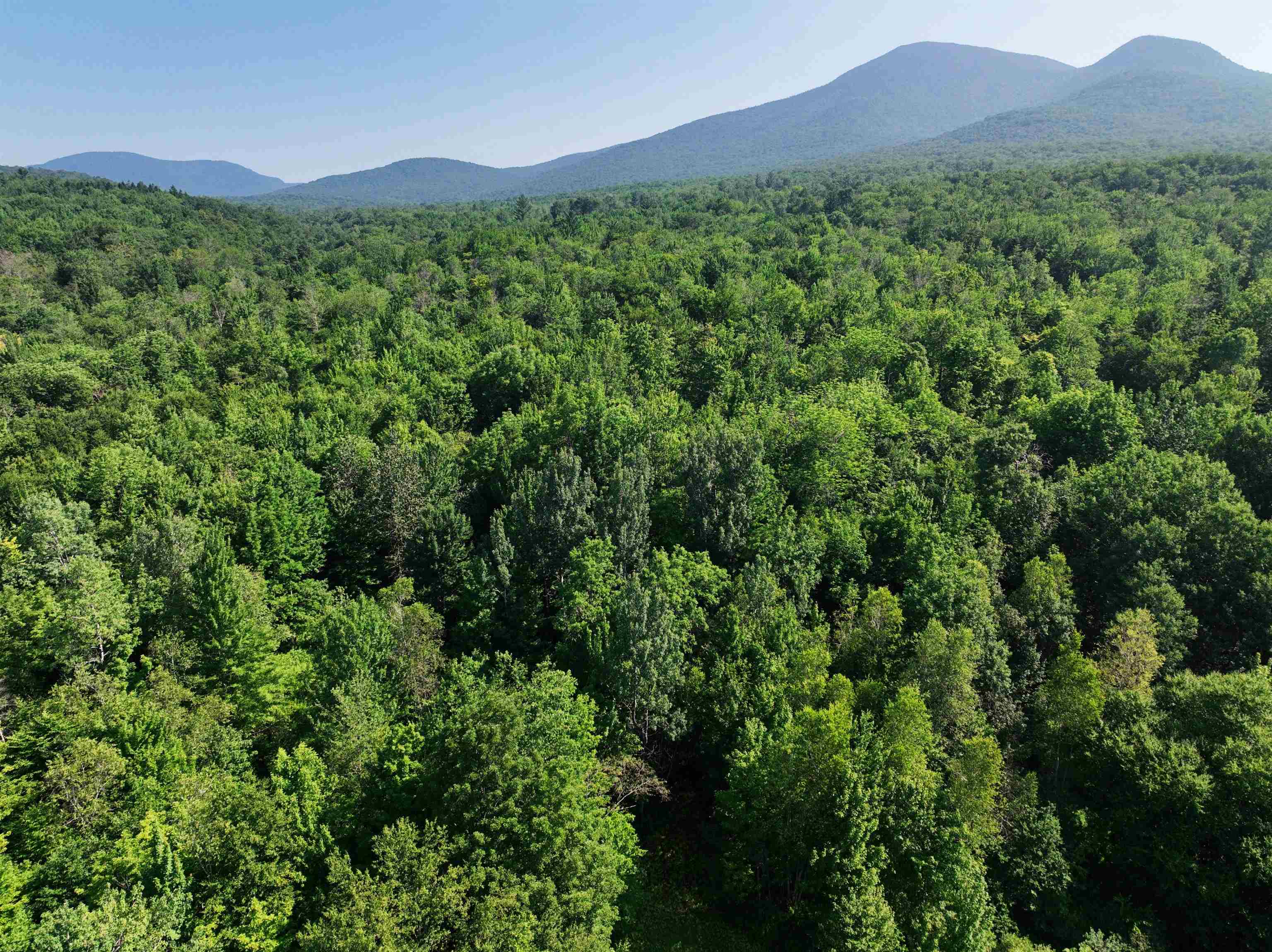 - Hannah Clark Brook Road Montgomery Center, VT 05471 - Photo 22 of 48