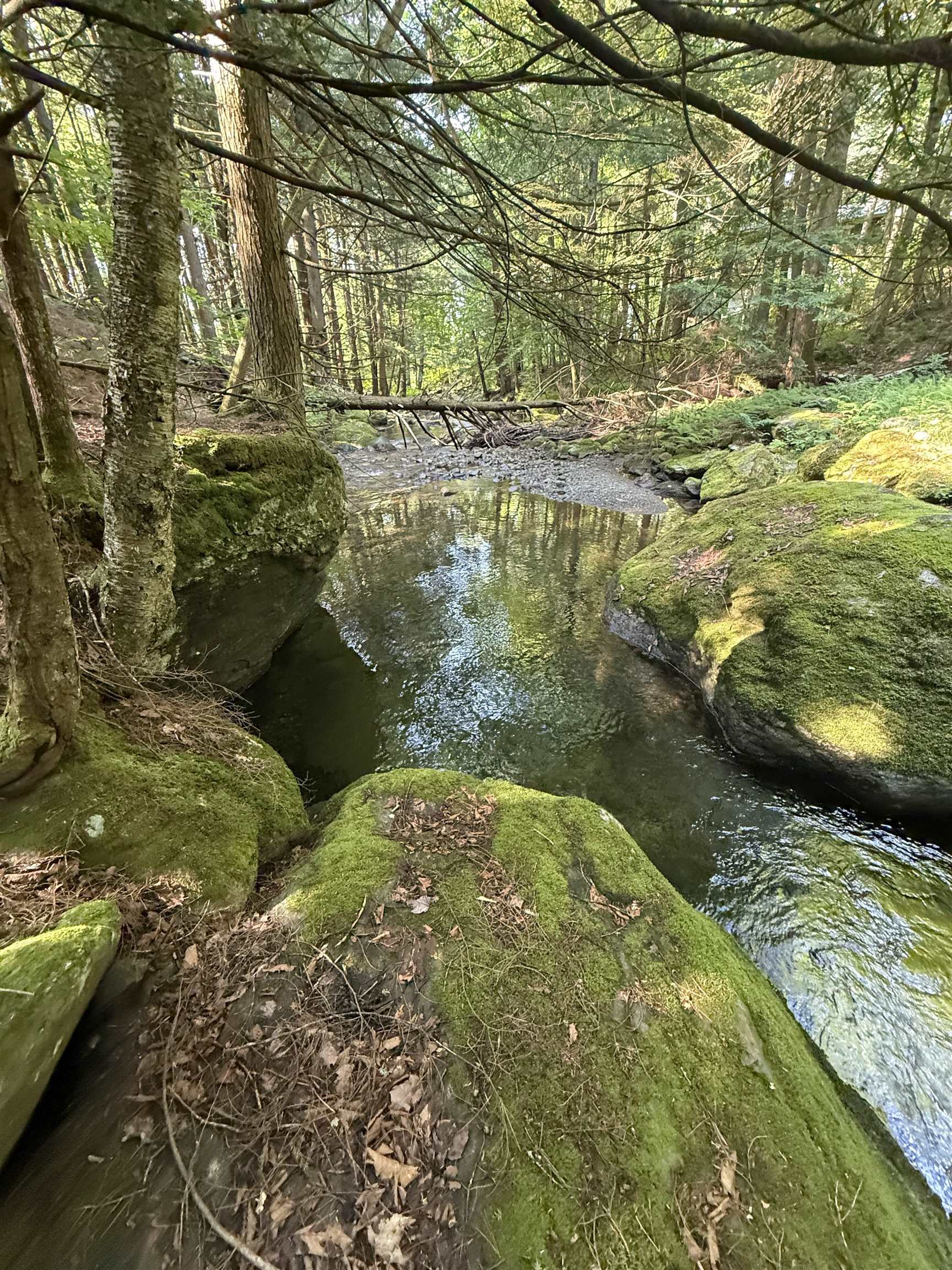 - Hannah Clark Brook Road Montgomery Center, VT 05471 - Photo 26 of 48