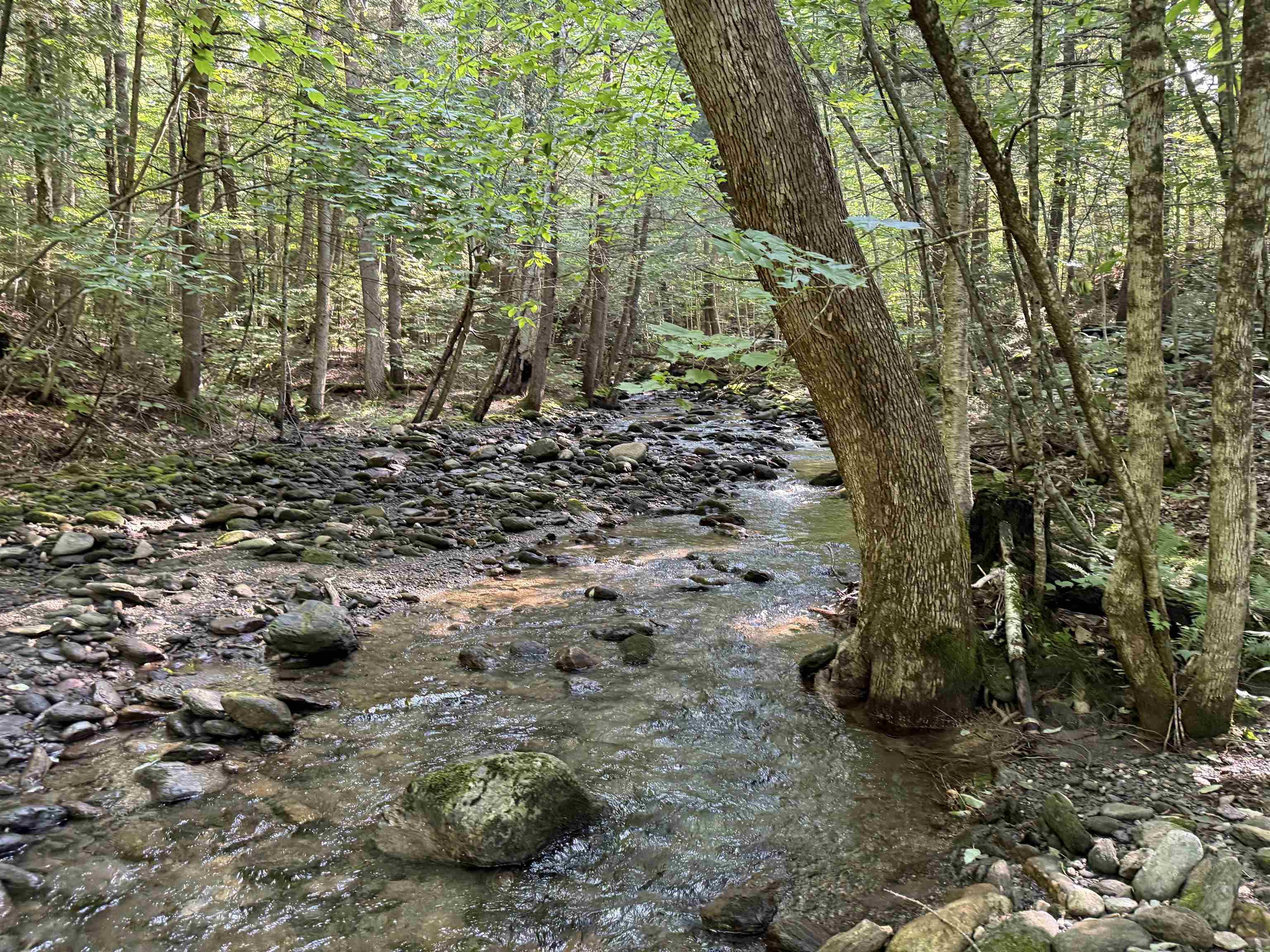 - Hannah Clark Brook Road Montgomery Center, VT 05471 - Photo 27 of 48