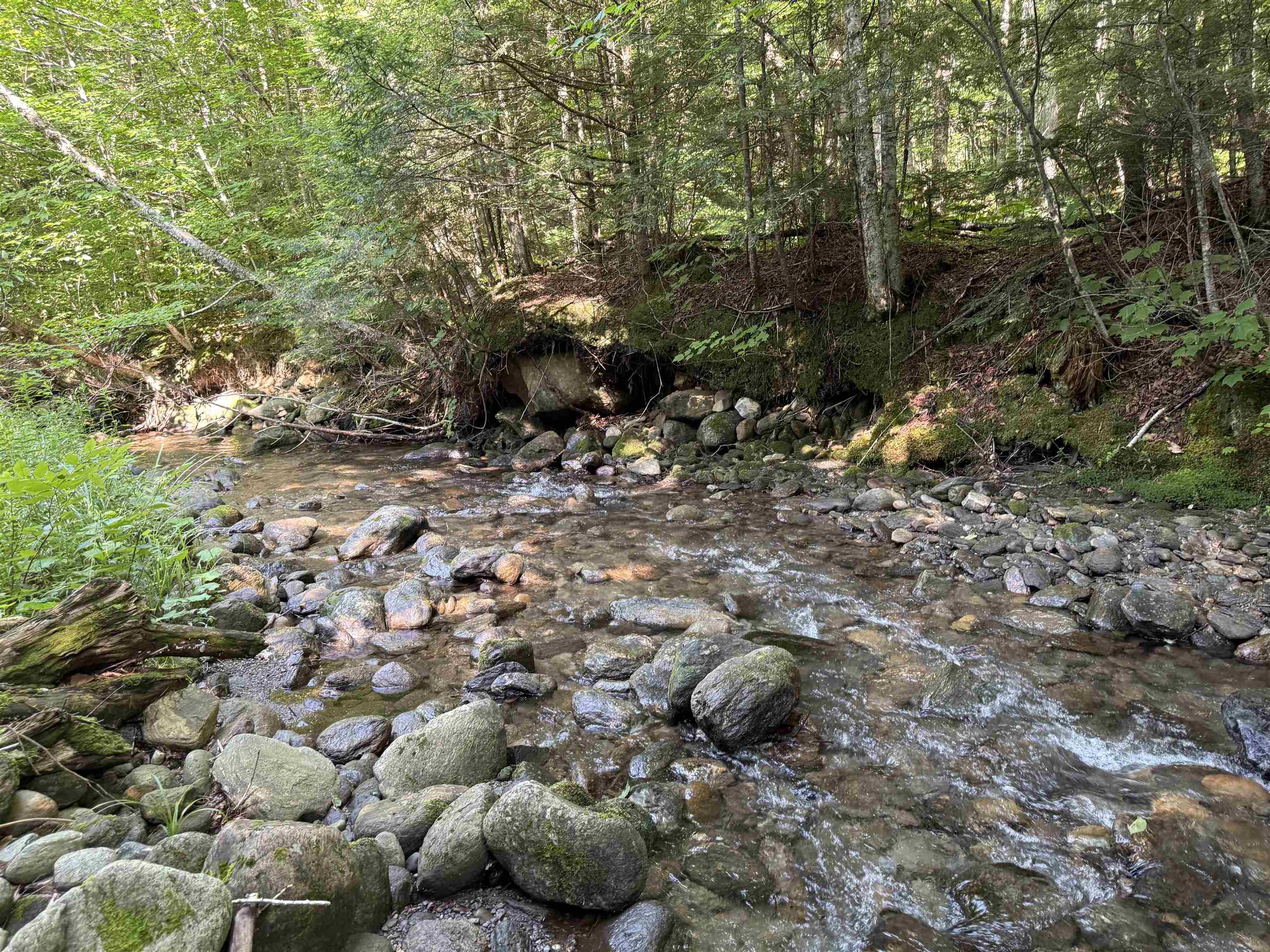 - Hannah Clark Brook Road Montgomery Center, VT 05471 - Photo 28 of 48