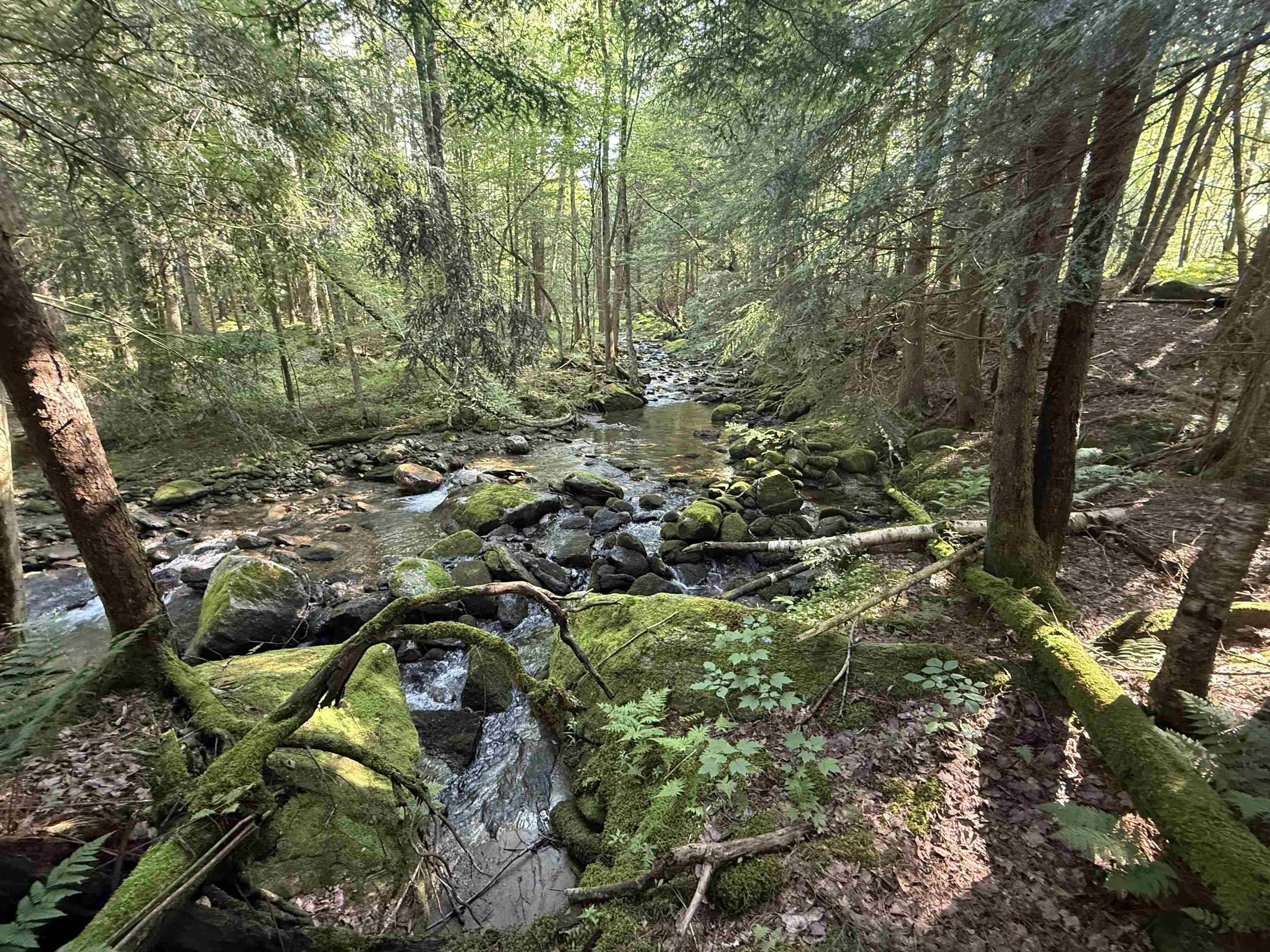 - Hannah Clark Brook Road Montgomery Center, VT 05471 - Photo 29 of 48