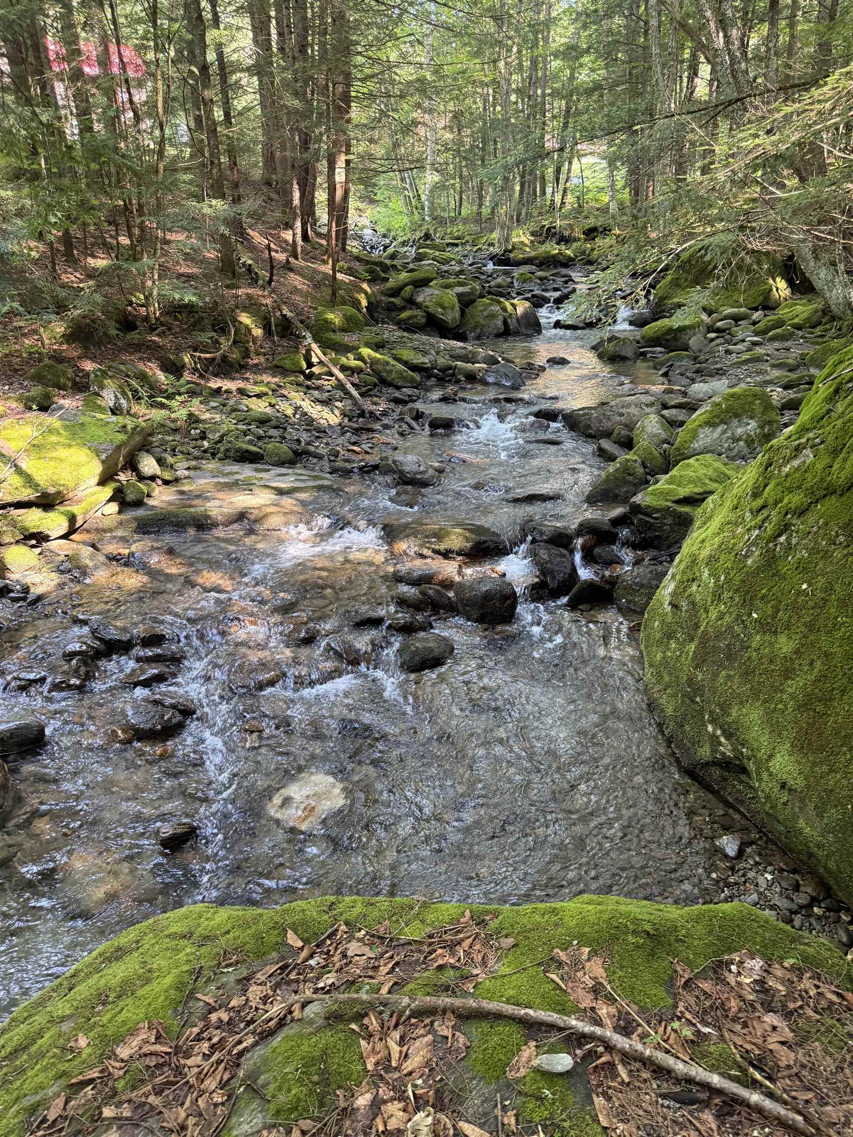 - Hannah Clark Brook Road Montgomery Center, VT 05471 - Photo 30 of 48