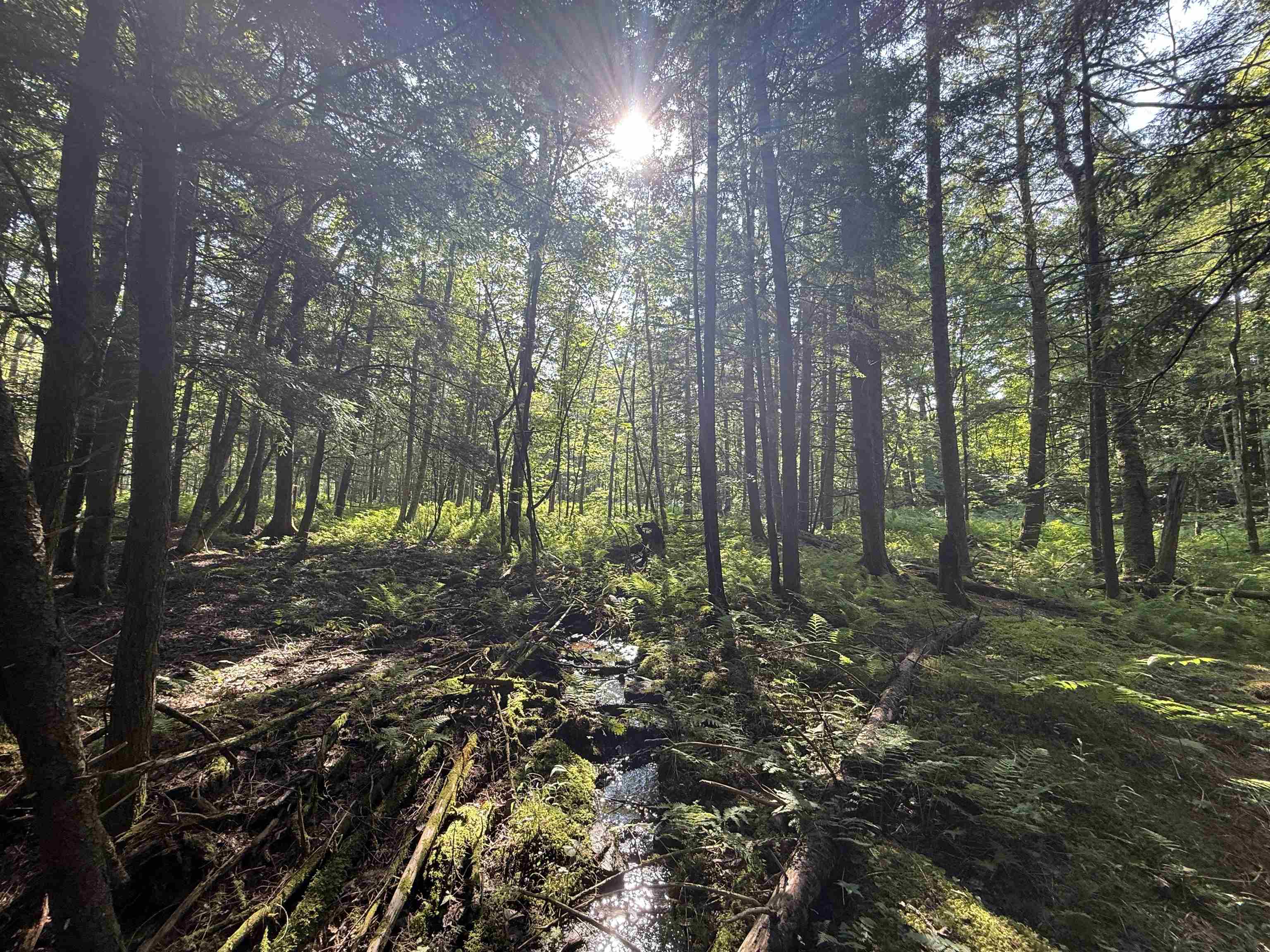 - Hannah Clark Brook Road Montgomery Center, VT 05471 - Photo 33 of 48