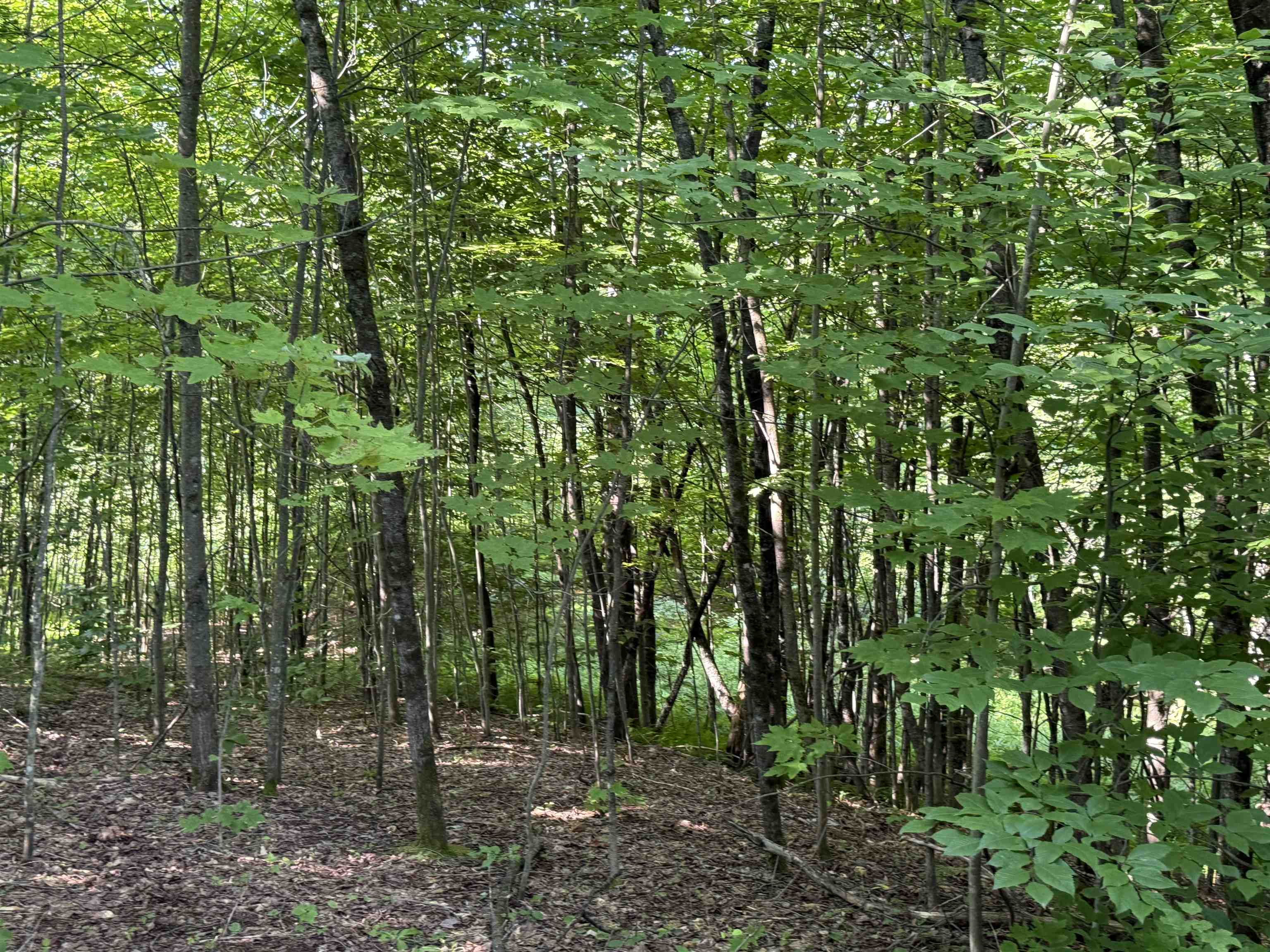 - Hannah Clark Brook Road Montgomery Center, VT 05471 - Photo 34 of 48