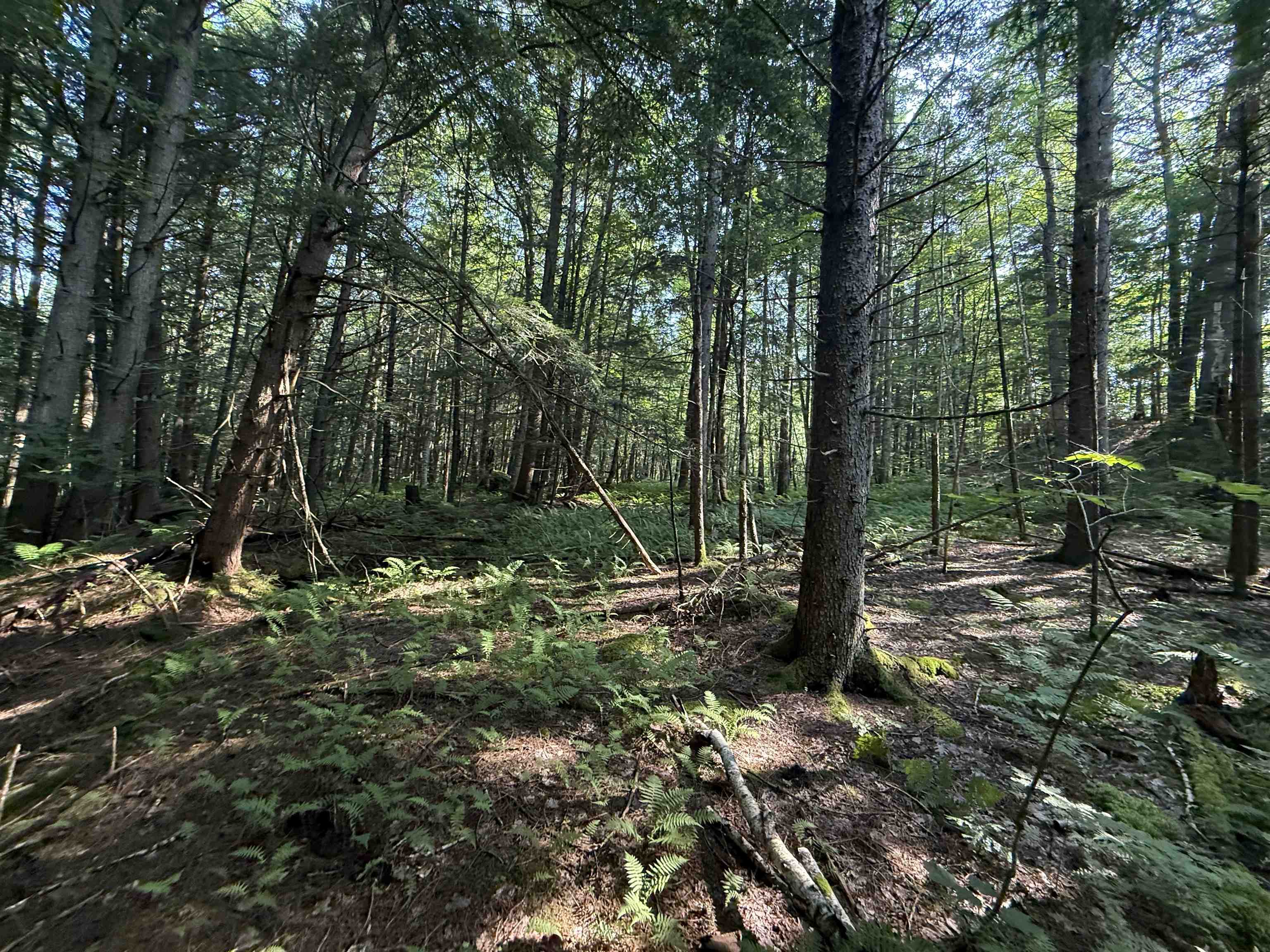 - Hannah Clark Brook Road Montgomery Center, VT 05471 - Photo 35 of 48