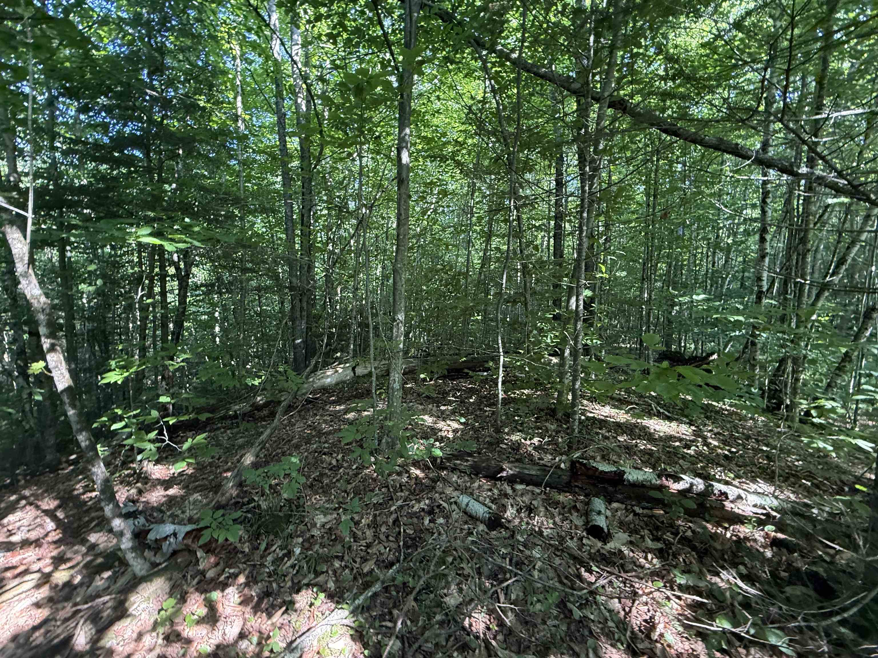 - Hannah Clark Brook Road Montgomery Center, VT 05471 - Photo 36 of 48
