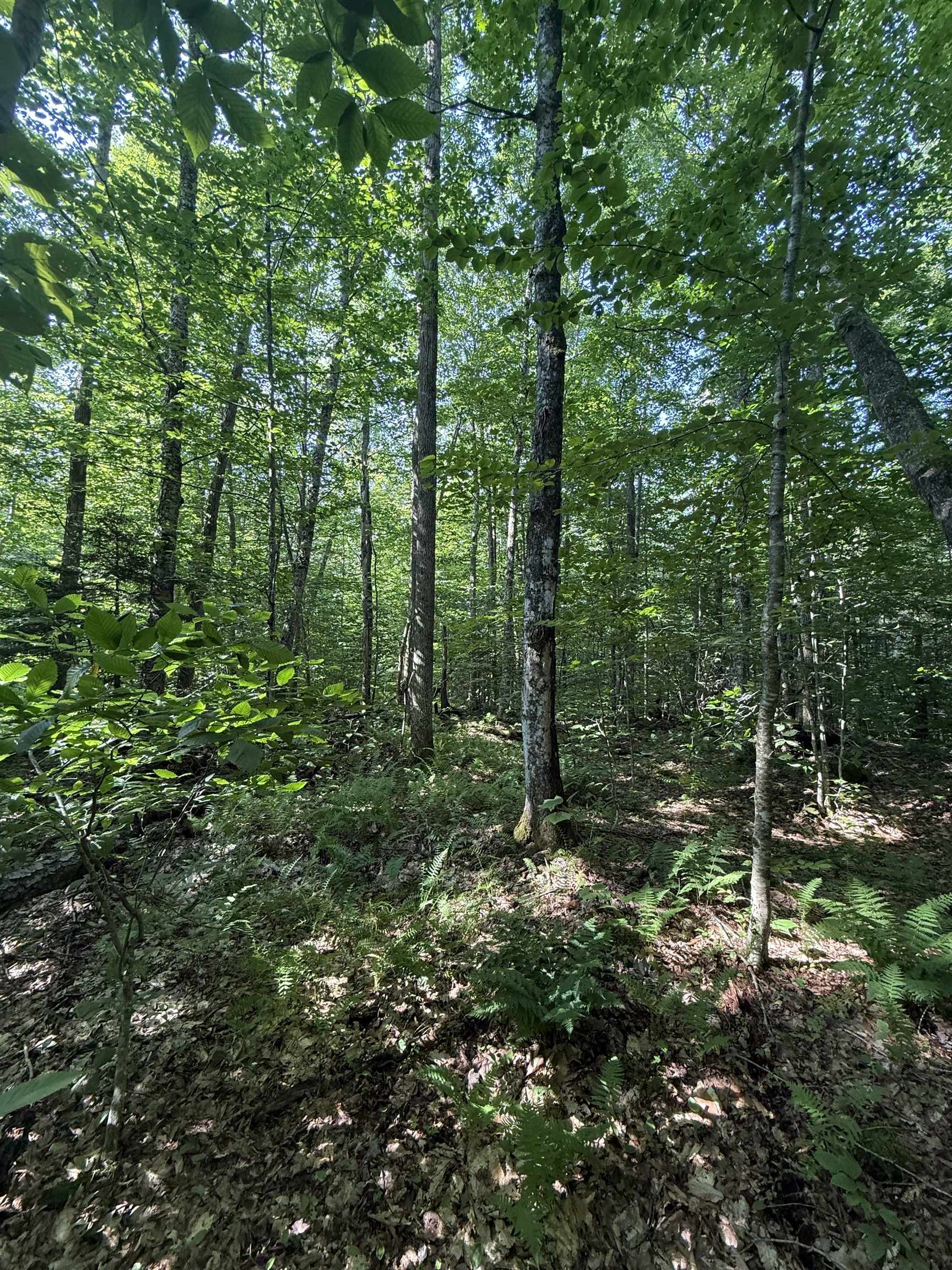 - Hannah Clark Brook Road Montgomery Center, VT 05471 - Photo 37 of 48