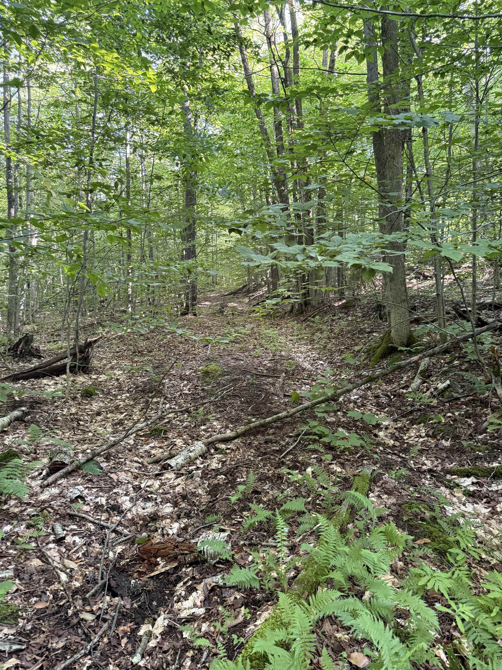 - Hannah Clark Brook Road Montgomery Center, VT 05471 - Photo 38 of 48