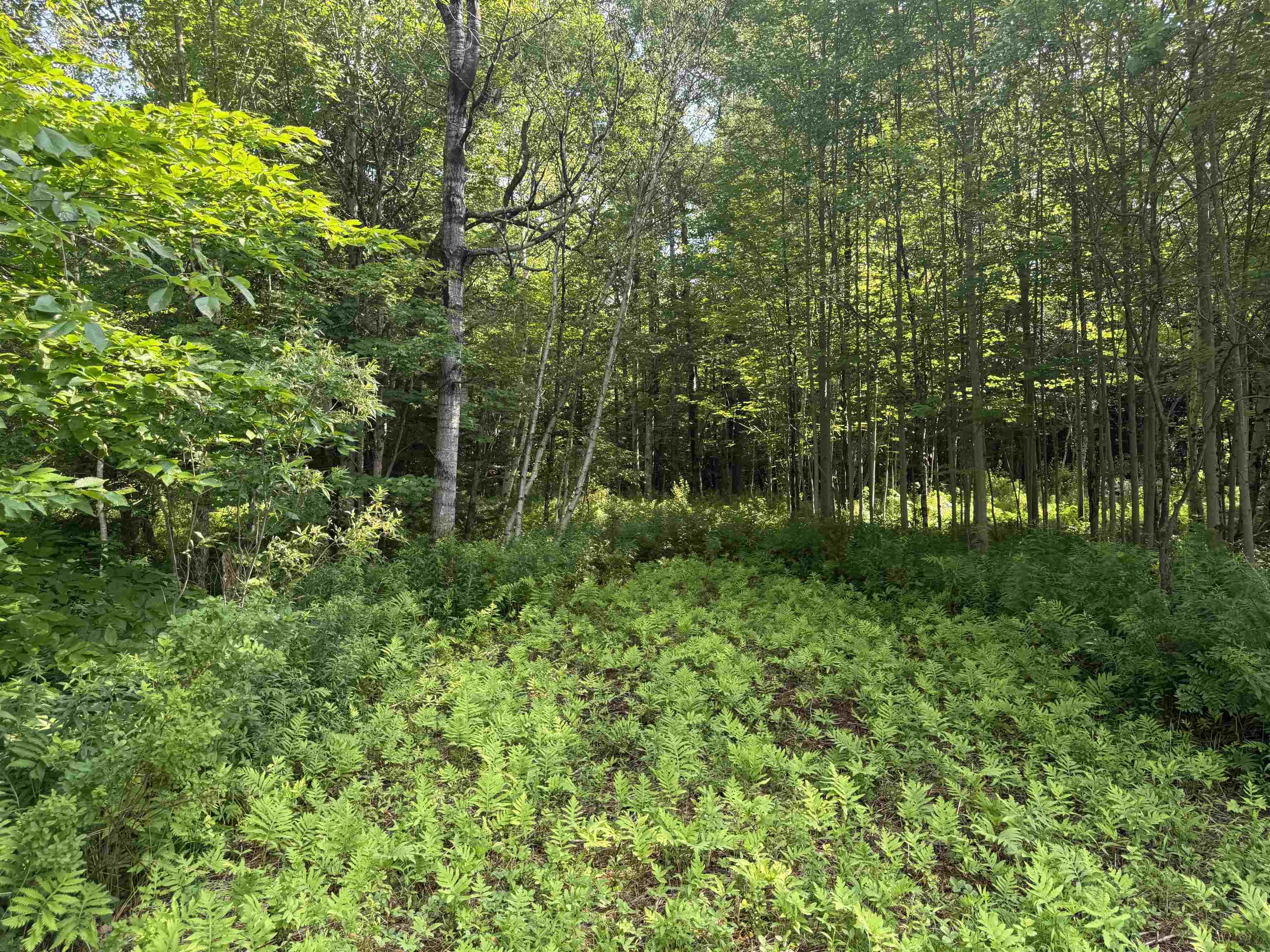 - Hannah Clark Brook Road Montgomery Center, VT 05471 - Photo 40 of 48