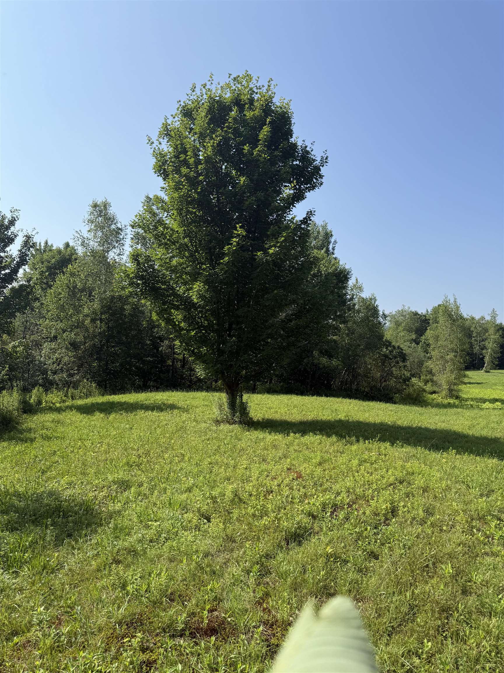 - Hannah Clark Brook Road Montgomery Center, VT 05471 - Photo 41 of 48