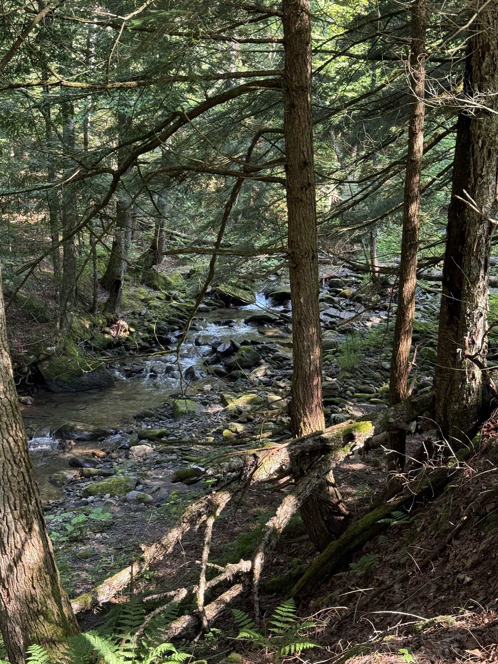 - Hannah Clark Brook Road Montgomery Center, VT 05471 - Photo 47 of 48