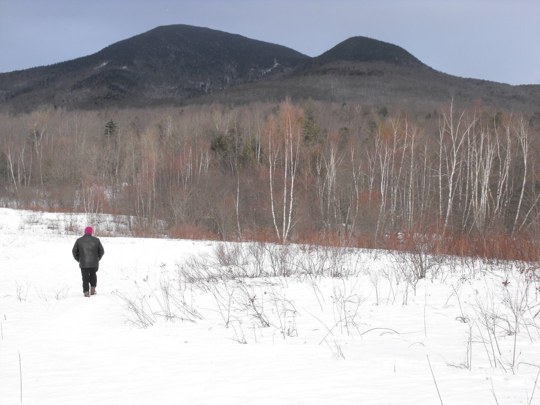 - Hannah Clark Brook Road Montgomery Center, VT 05471 - Photo 48 of 48