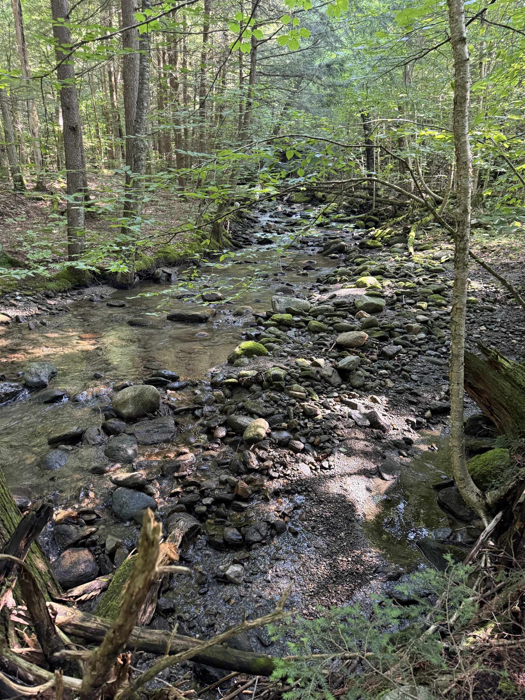 - Hannah Clark Brook Road Montgomery Center, VT 05471 - Photo 5 of 48