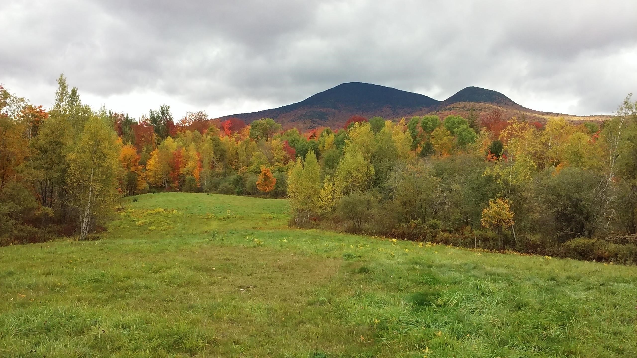 - Hannah Clark Brook Road Montgomery Center, VT 05471 - Photo 9 of 48