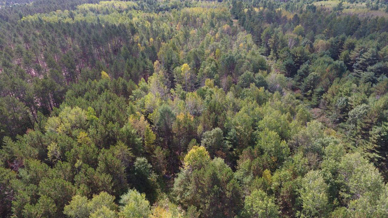 On On Pine Square Road, Unit 11 9 ACRES Tomahawk, WI 54487 - Photo 6 of 20 Gallery Image 6