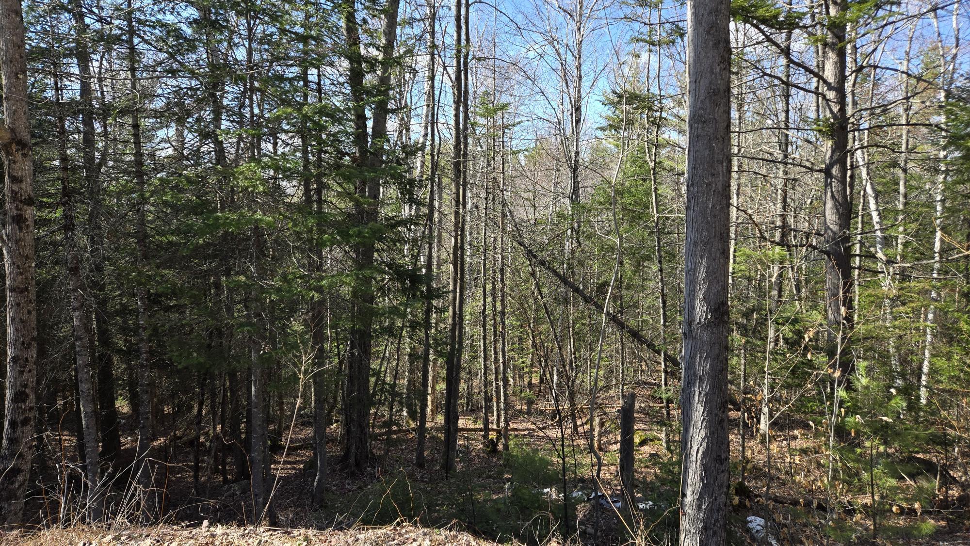 19 Tower Road Roxbury, ME 04275 - Photo 27 of 30 27