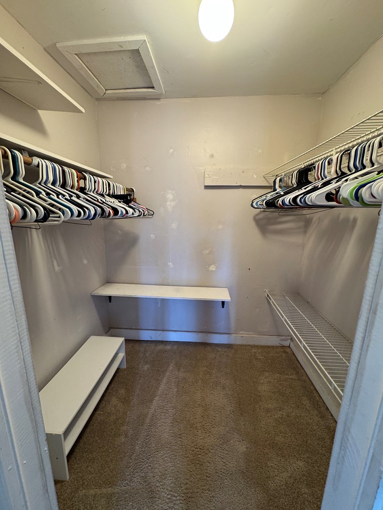 1542 Pineknot Road Box Springs, GA 31801 - Photo 3 of 18 Walk-in Closet