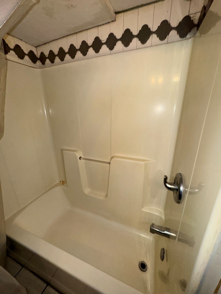 1542 Pineknot Road Box Springs, GA 31801 - Photo 7 of 18 Tub and Shower