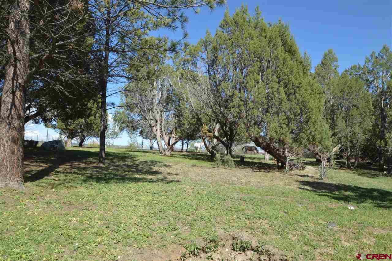 16874 Bull Mesa Road Cedaredge, CO 81413 - Photo 17 of 23 Gallery Image 17