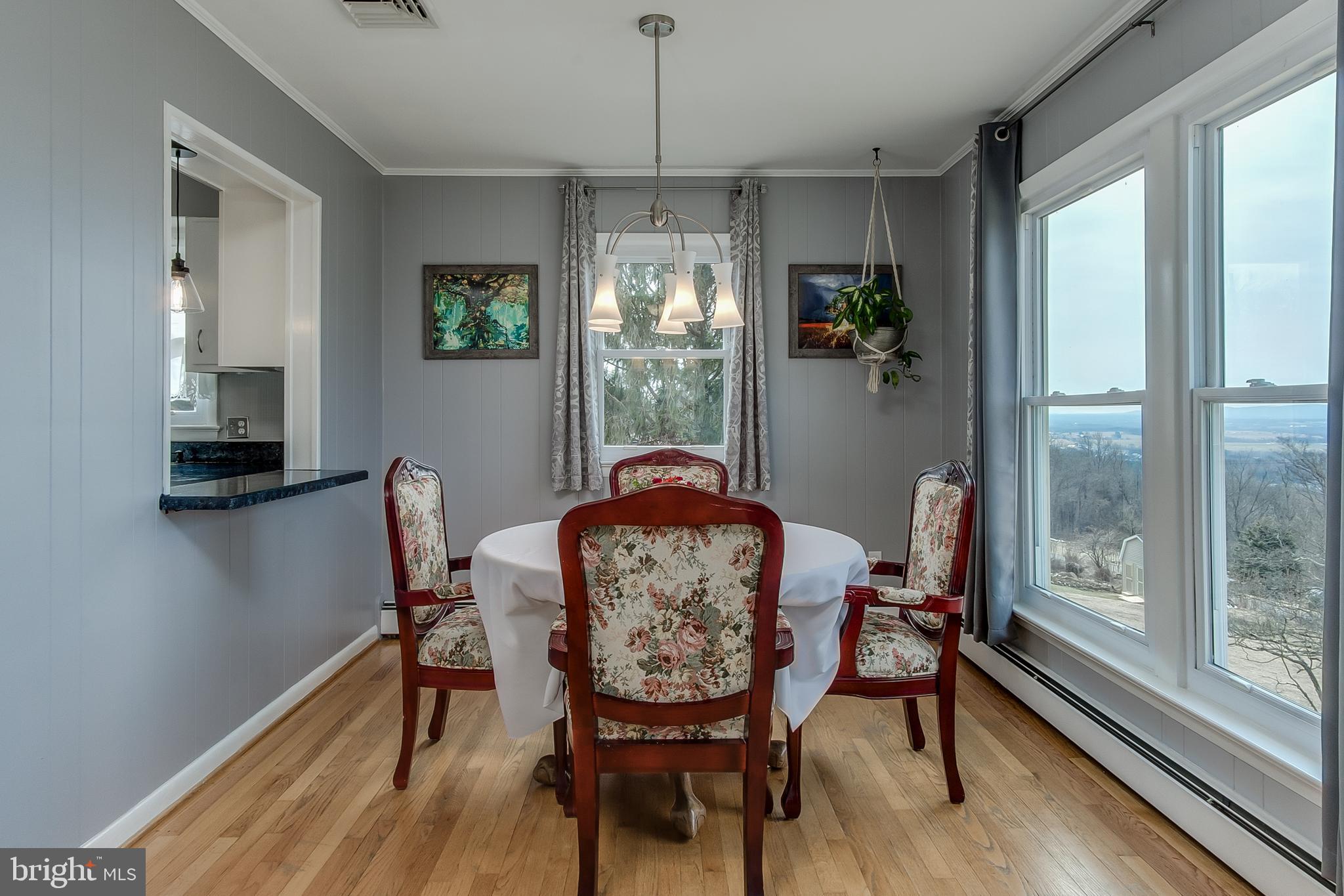 7418 Ridge Road Frederick, MD 21702 - Photo 21 of 58 Kitchen Pic 2