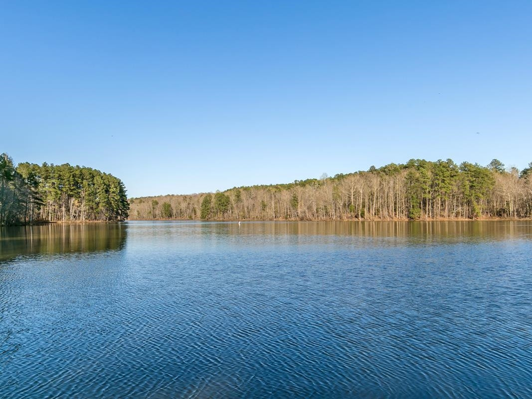 105 Springtime Fields Lane Wake Forest, NC 27587 - Photo 58 of 59 Photo 58