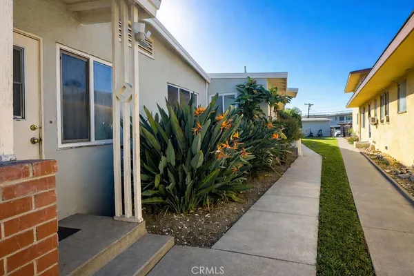 a potted plant sitting in front of a house