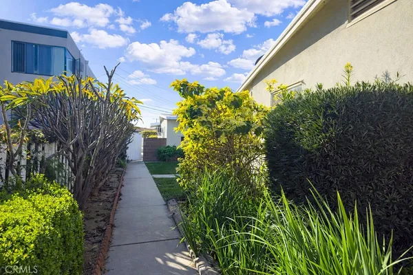 a view of a garden