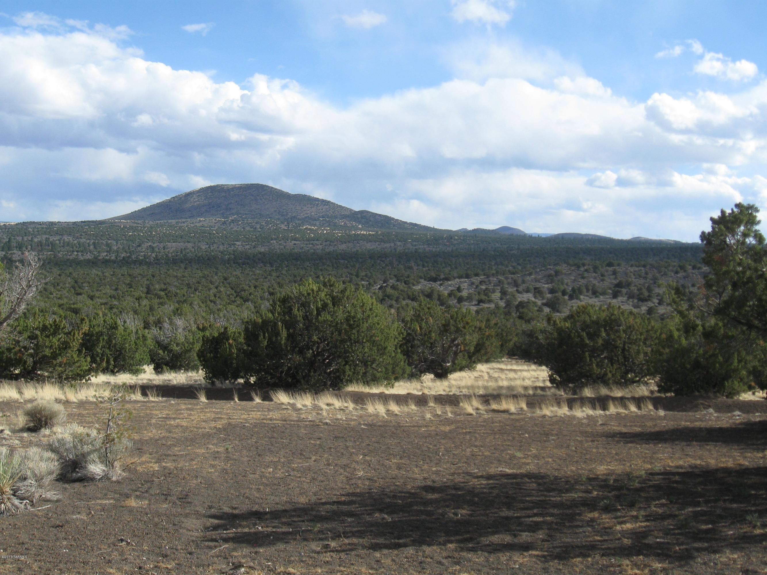 43007 A Alpine Ranch Flagstaff, AZ 86004 - Photo 10 of 12