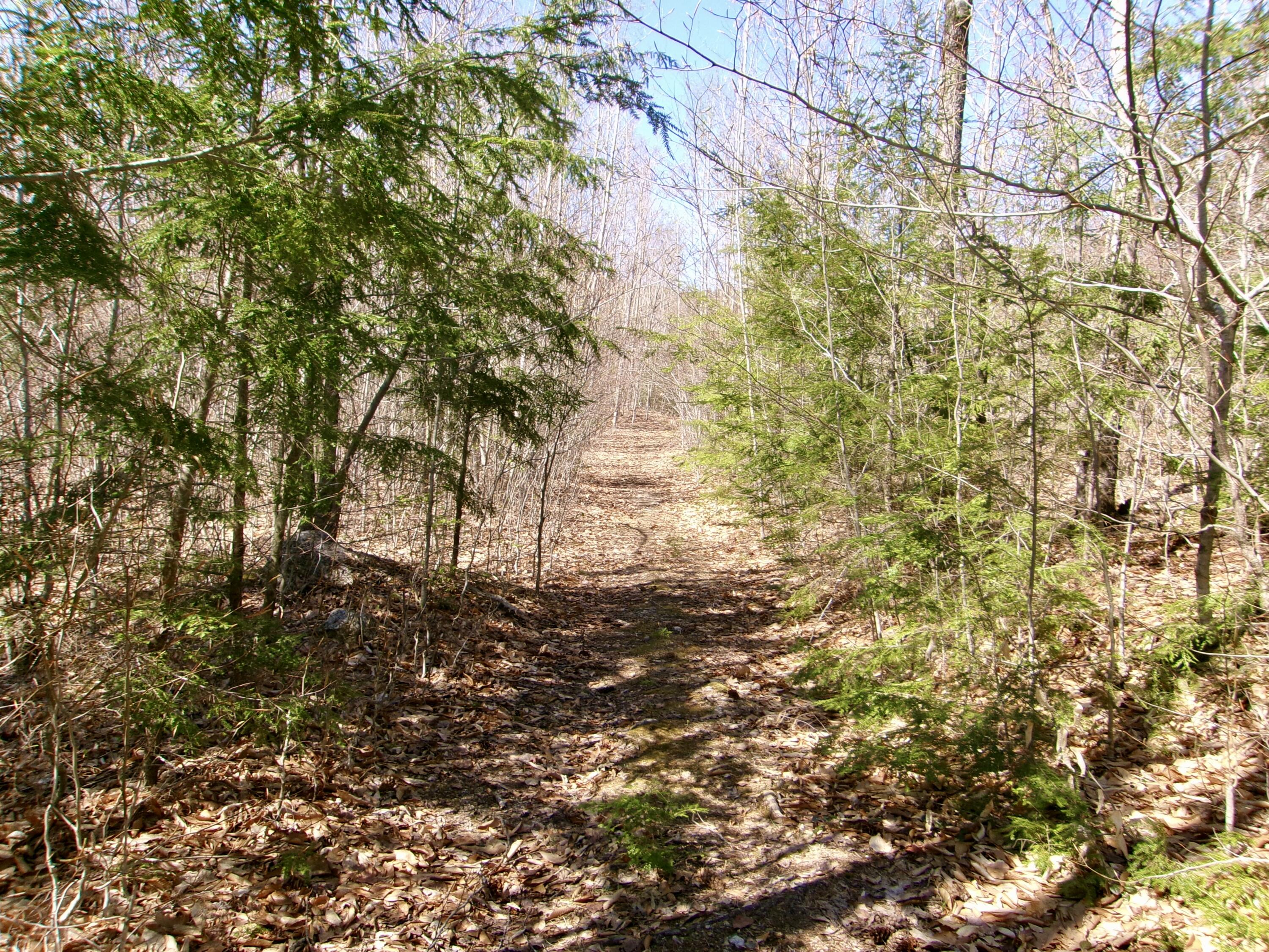 65-ac Town Farm Road West Baldwin, ME 04091 - Photo 7 of 16 5