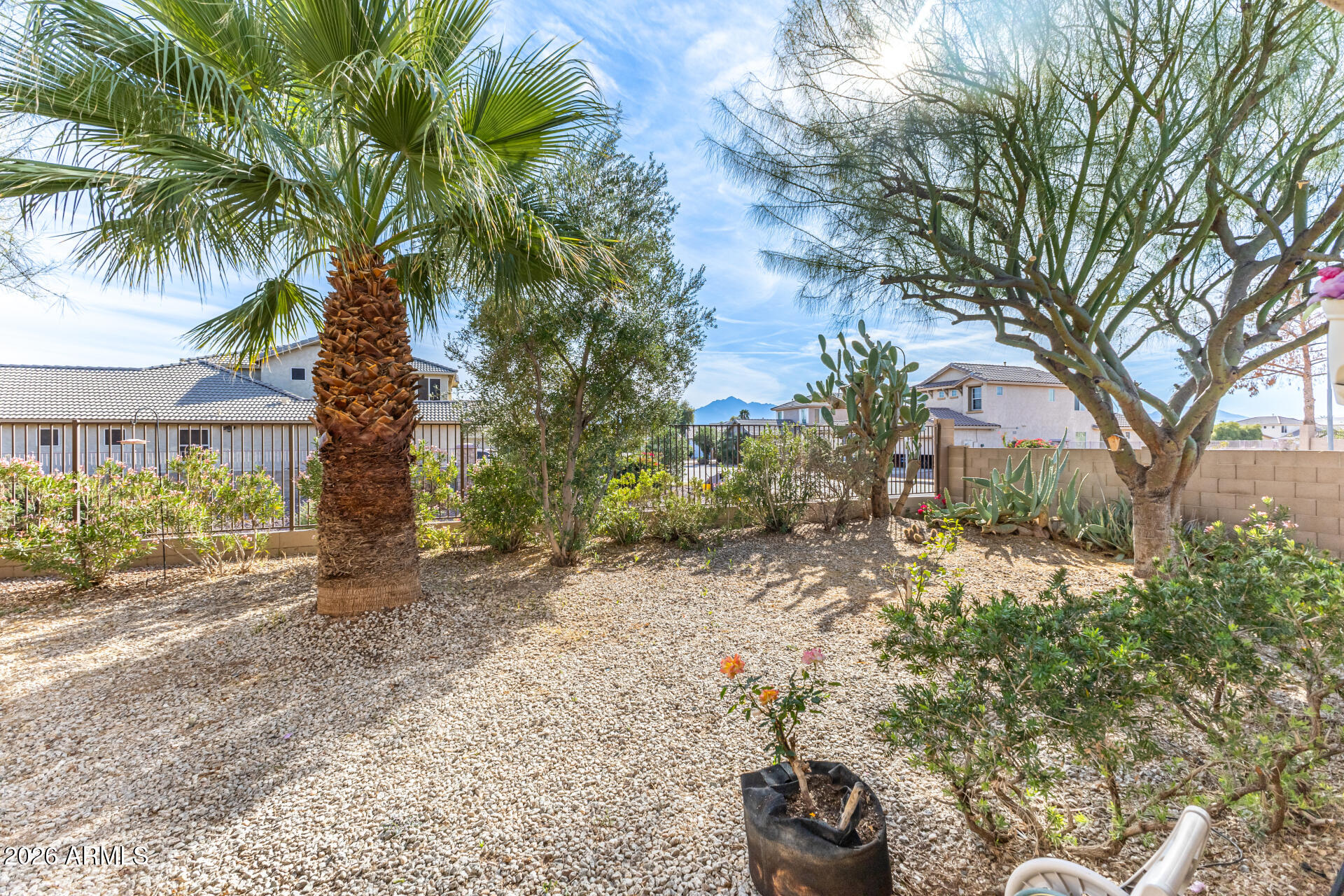 7129 West Carter Road Laveen, AZ 85339 - Photo 19 of 22 Backyard