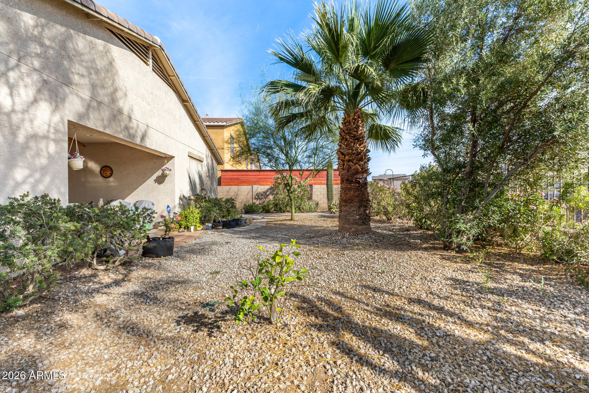 7129 West Carter Road Laveen, AZ 85339 - Photo 21 of 22 Backyard