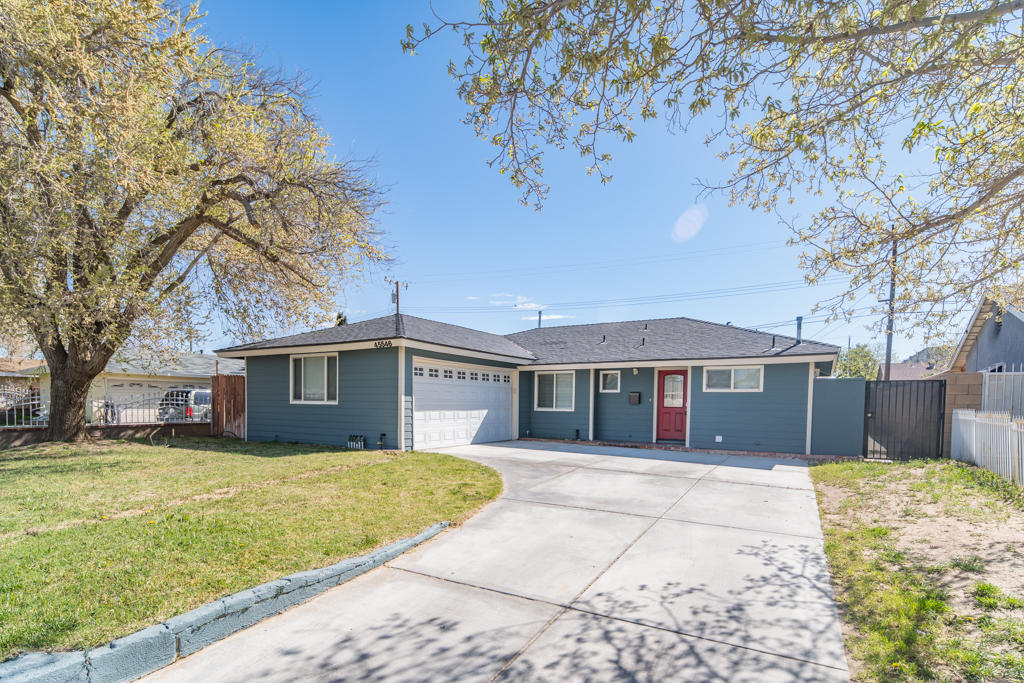 a view of a house with a large tree in front of it