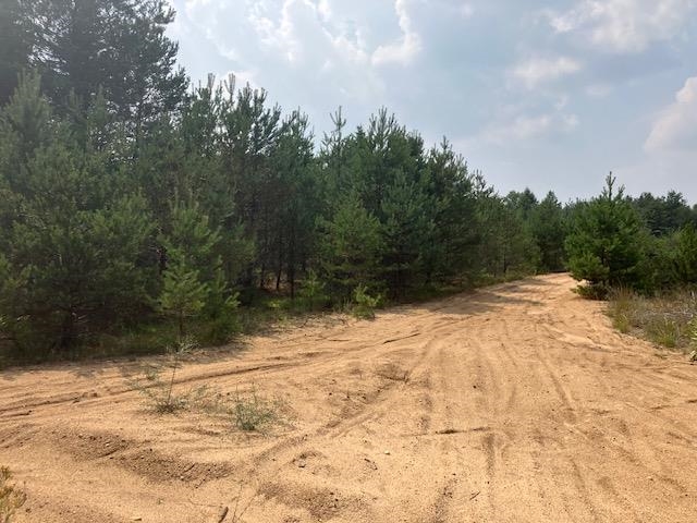 2 North 2 1/2 Road Buckley, MI 49620 - Photo 6 of 16