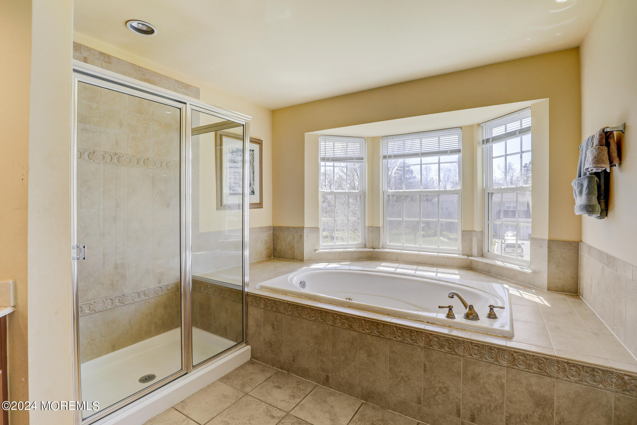 9 Emily Road Manalapan, NJ 07726 - Photo 26 of 35 29 - Primary Bathrooom