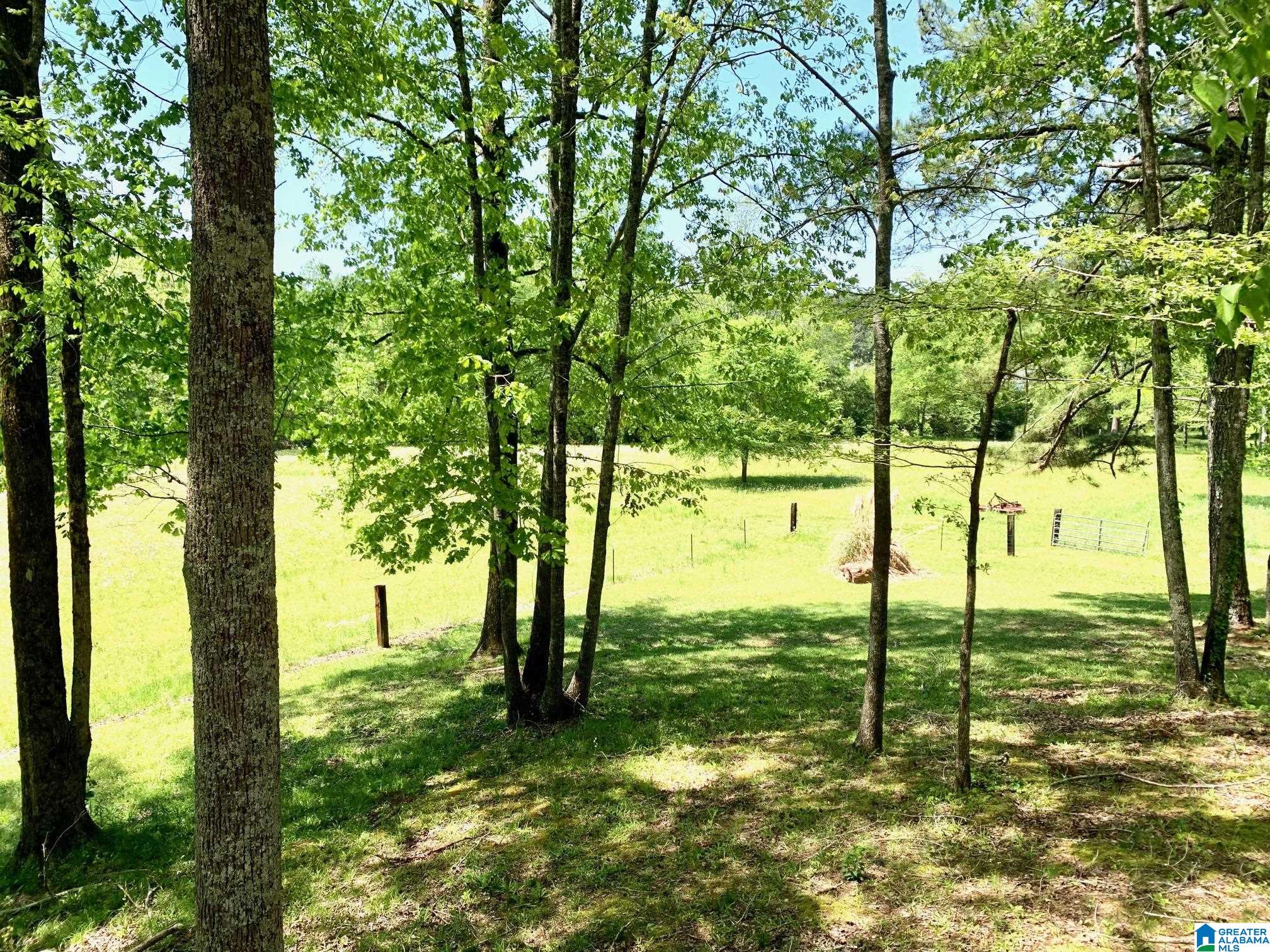 714 Old Walker Road Cleveland, AL 35049 - Photo 12 of 47