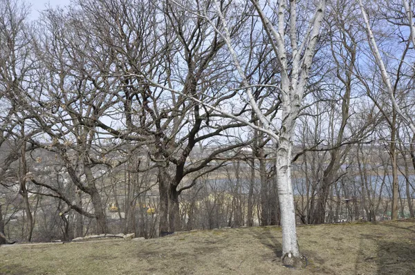 $368,000 | 64 Conner Circle Southwest, Rochester, MN 55902