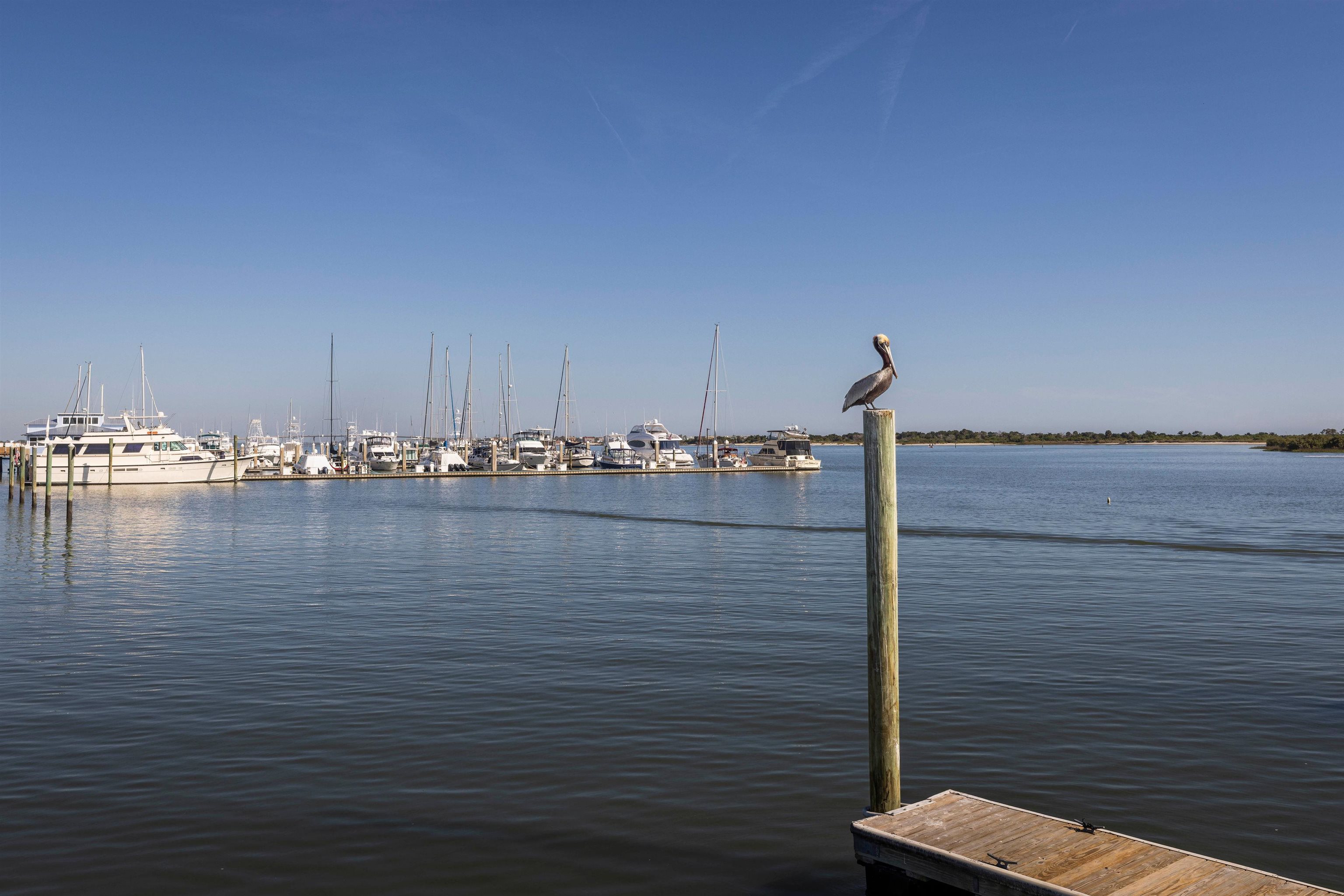 61 Cortez Street St. Augustine, FL 32080 - Photo 51 of 52