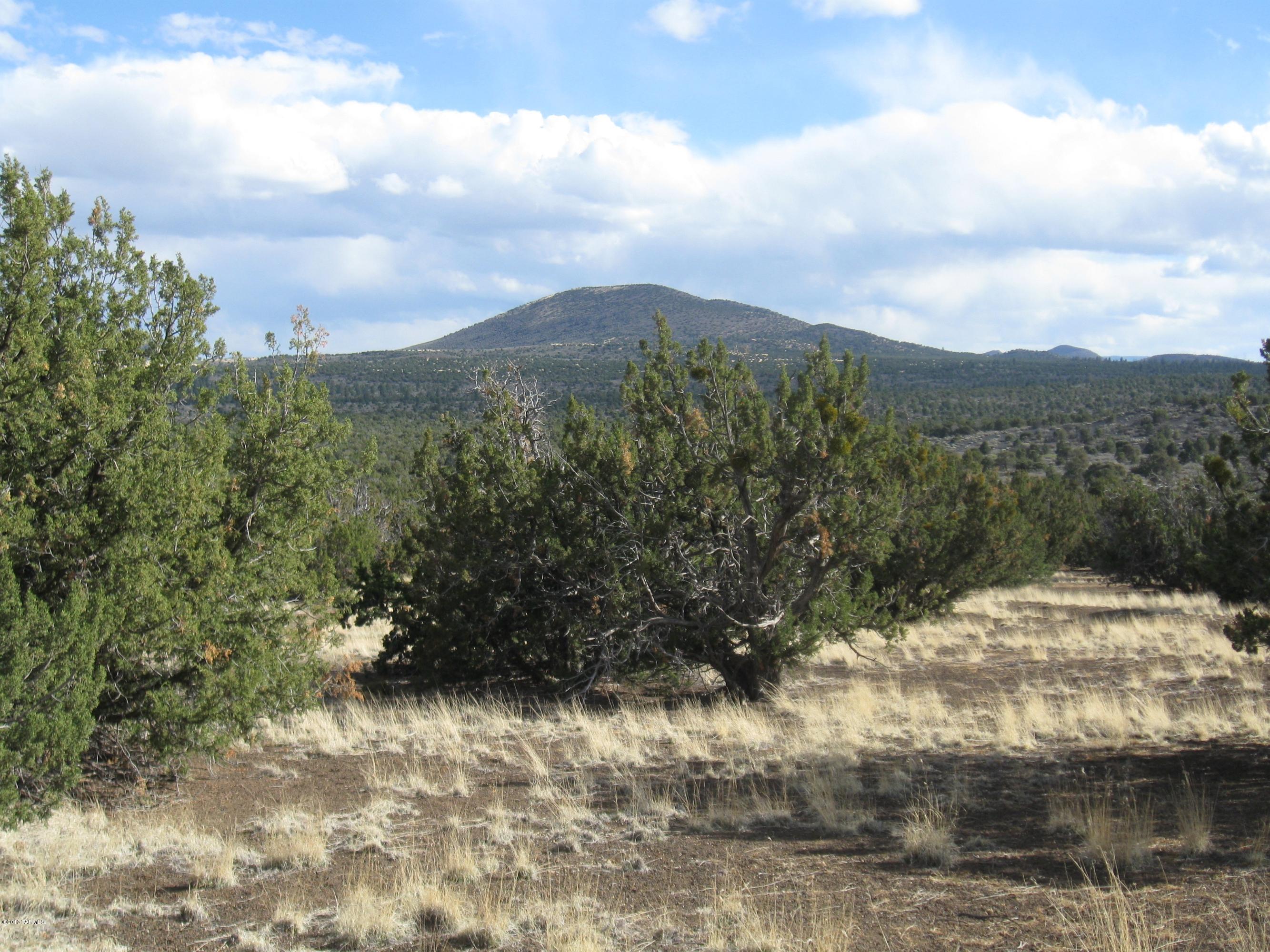 43007 A Alpine Ranch Flagstaff, AZ 86004 - Photo 11 of 12