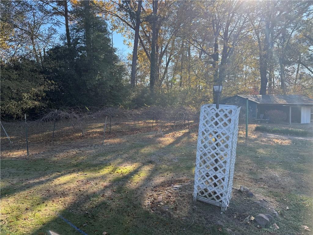 3329 Alabama Highway Rome, GA 30165 - Photo 27 of 32 a view of a tree with yard