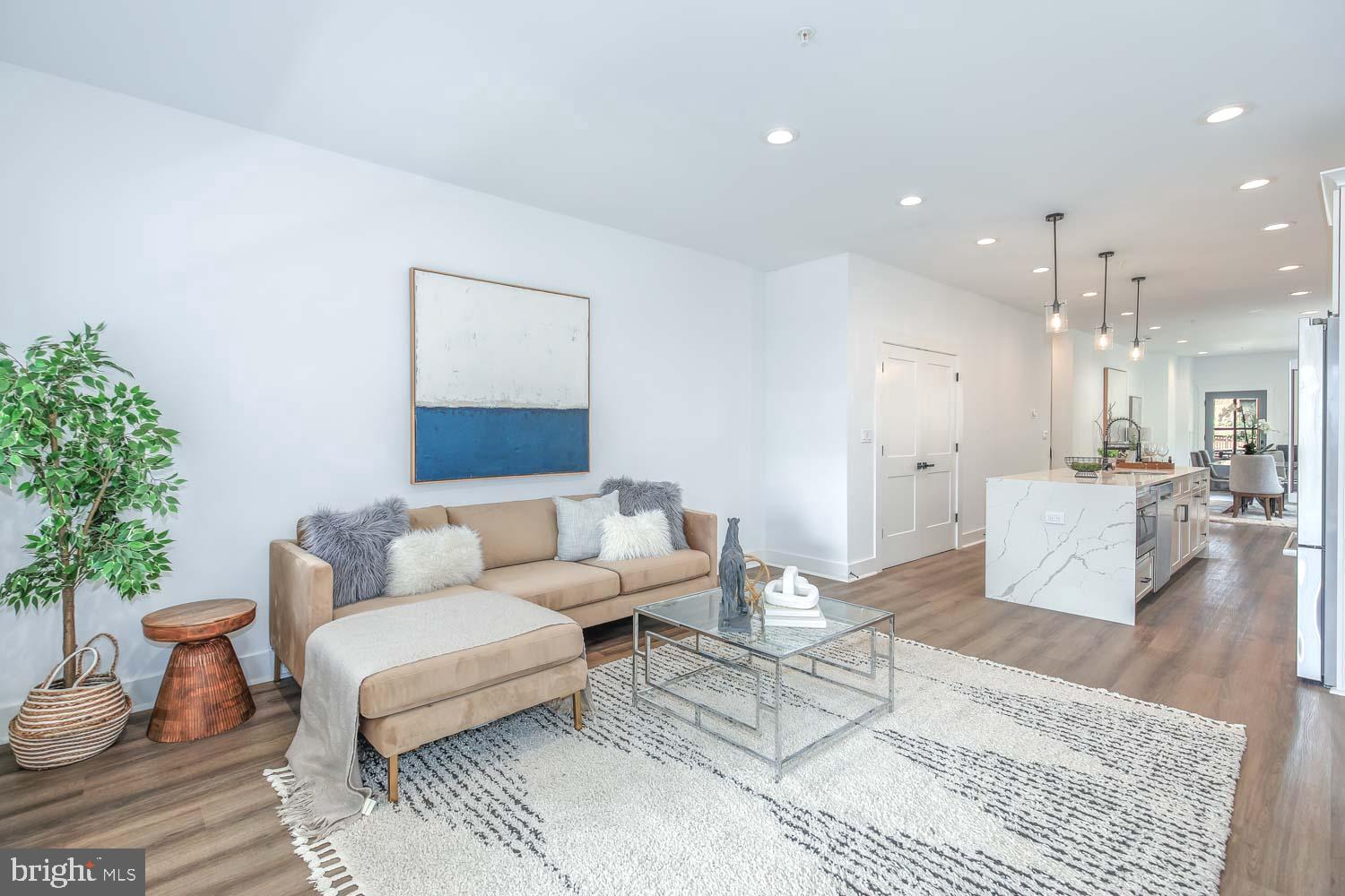 424 Taylor Street Northwest, Unit 1 Washington, DC 20011 - Photo 22 of 53 a living room with furniture and a potted plant